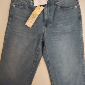 DG2 by Diane Gilman Blue Capris
